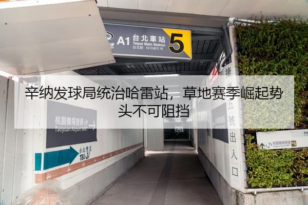 辛纳发球局统治哈雷站，草地赛季崛起势头不可阻挡