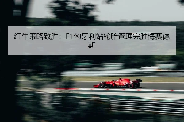 hong-niu-ce-lve-zhi-sheng-xiong-ya-li-zhan-lun-tai-guan-li-wan-sheng-mei-sai-de-si-2-998.jpg