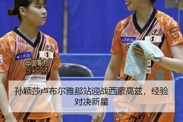sun-ying-sha-lu-bu-er-ya-na-zhan-ying-zhan-xi-meng-gao-zi-jing-yan-dui-jue-xin-xing-2-746.jpg